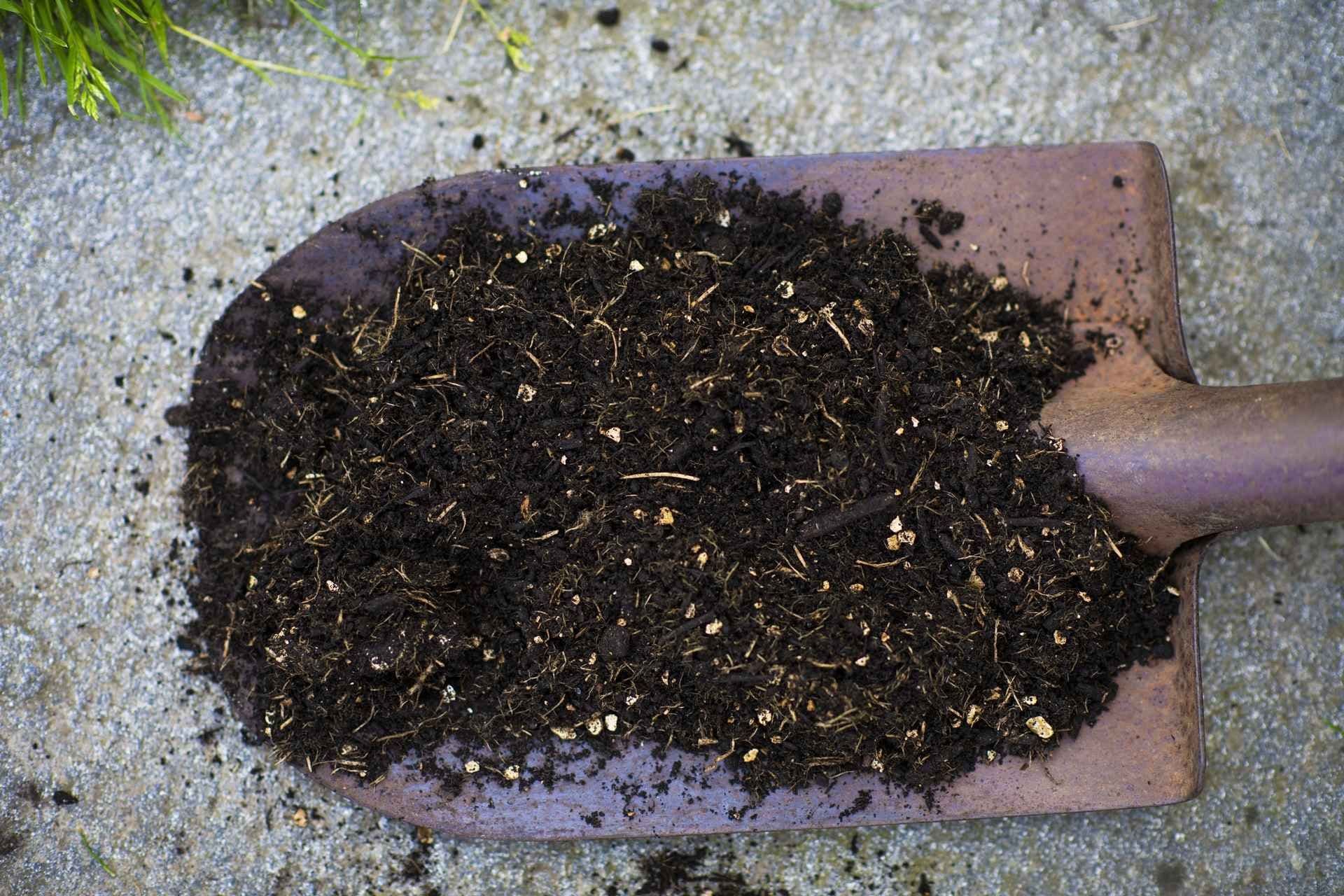 Blomsterjord som ligger oppå en spade. Foto. 