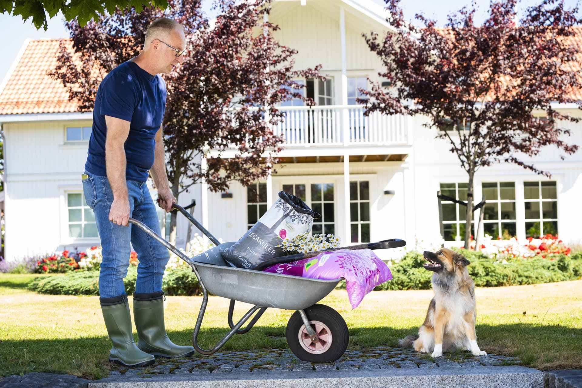 Leca og jord i sekk i trillebår. Foto.